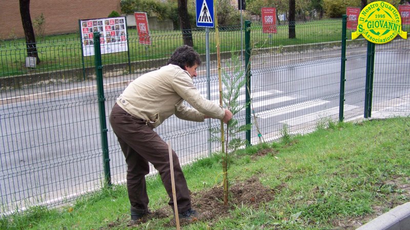 Festa_Albero_3